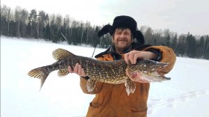 ЩУКА-УБИЙЦА НА ЖЕРЛИЦЫ! Охота на трофей, о котором молчат