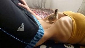 Вакуум Живота и цыплёнок