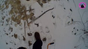 ОКУНЬ БЕЗ УМА ОТ НЕГО! Зимняя рыбалка НА СЛАДКОГО ОПАРЫША 2019 - 2020