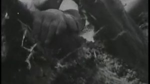 Кинохроника МВС (МоскваВолгострой) 1933-1937 гг.