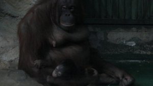 А мама занимается с малышом