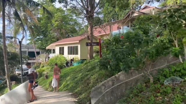 Дневная и ночная жизнь Пхи Пхи Дона day and night life of phi phi don