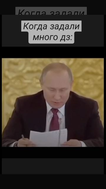 слишком много дз