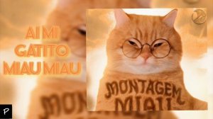 фонк на 800 подписчиков! спасибо большое за 800 подписчиков! передаю свою радость через песню!!!