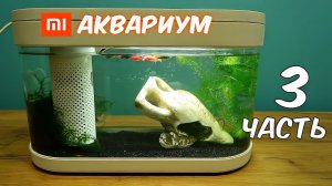 Аквариум XIAOMI Часть 3. Креветки, Растения и новый живой корм! alex boyko