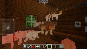 ПЕСНЯ СОБАК