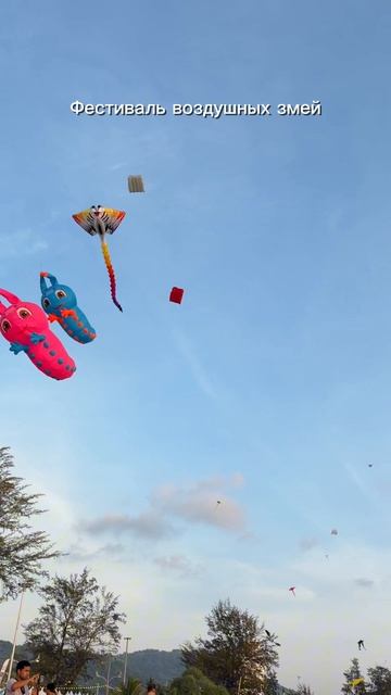 Фестиваль воздушных змей