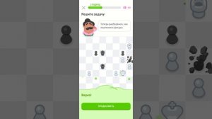 шахматы с Оскаром