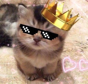 чо смотриш?сматри трансляцию