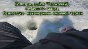 Первоапрельская безнасадка на Белоярке.