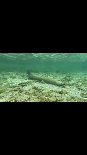 Совсем не ожидаемая подводная охота😱😱😱😱 #fishing #подводнаяохота #рыбалка #морскаяпехота
