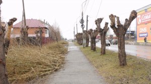 Весеннее преображение Серова продолжается!