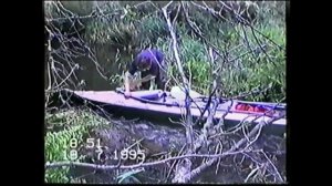 Вексель Независимости