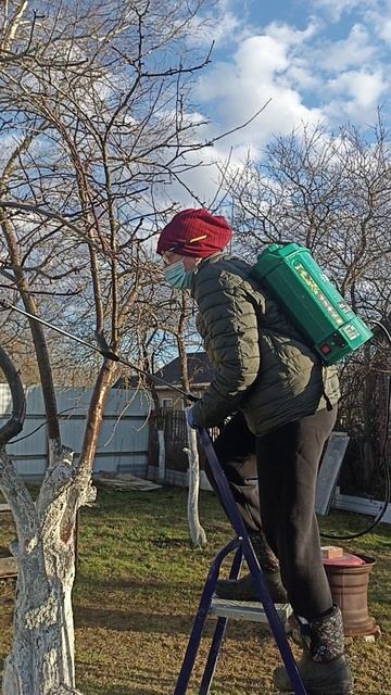 САД ПОД ЗАЩИТОЙ