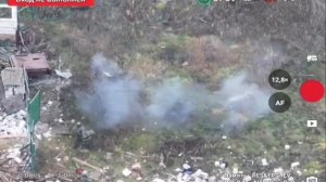 Свинушечка спасла бойца от мины.mp4