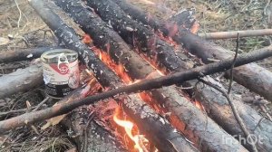 весенний лес