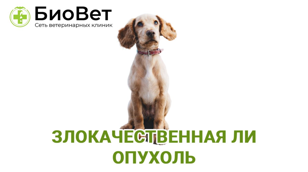 Злокачественная ли опухоль