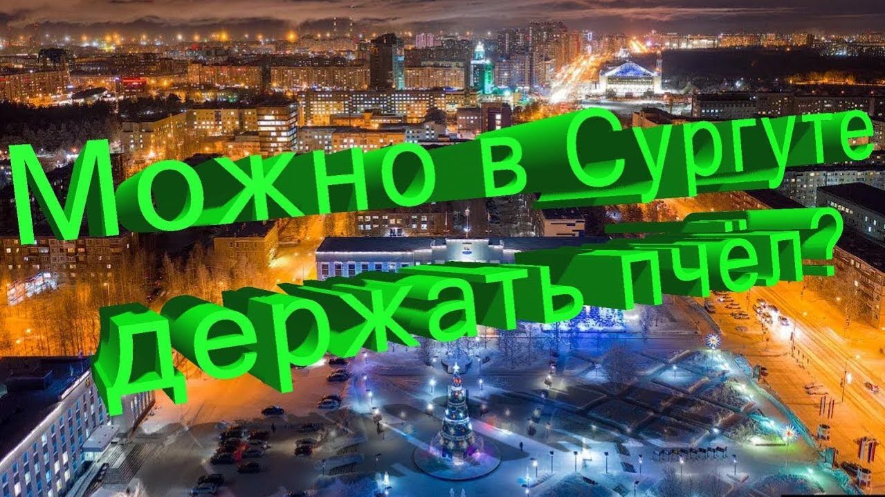 Пчеловодство в Сургуте: реально или нет? / Профессор Кашковский отвечает
