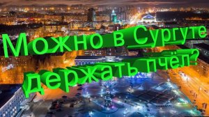 Пчеловодство в Сургуте: реально или нет? / Профессор Кашковский отвечает