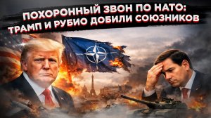«Бумажный тигр» и похоронный звон: Трамп добивает НАТО, а Россия добивает ВСУ