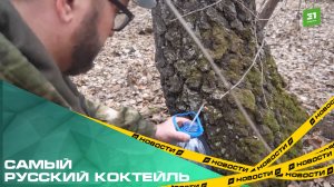 Самый русский коктейль. Сезон сбора березового сока стартовал раньше времени