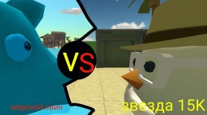 морской свин VS звезда 15K