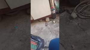 качаюсь
