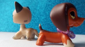 моя популярность опенинг