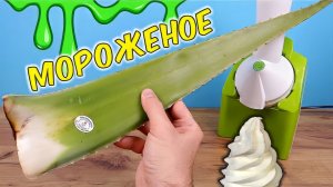 Что если сделать МОРОЖЕНОЕ из огромного листа Алоэ? Самое мерзкое в мире мороженое!