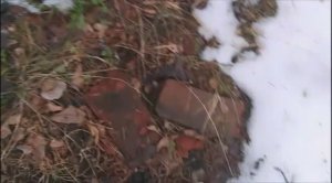 Россия Ленинградская область Выборгский район Бобочино поселок Поляны горка Церковная лета2026/7535