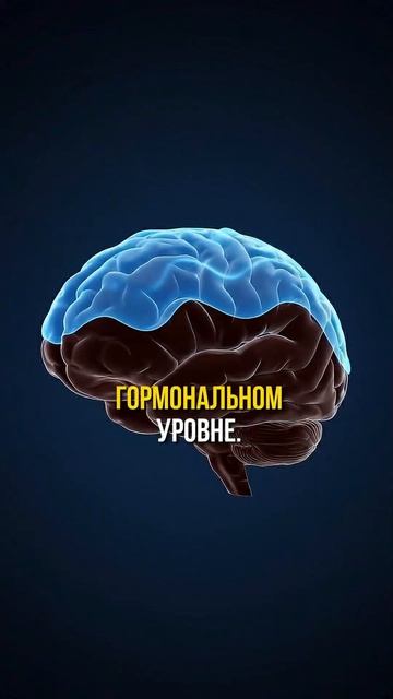 Зачем переплачивать за импортный бренд, если российский аналог показывает тот же результат?