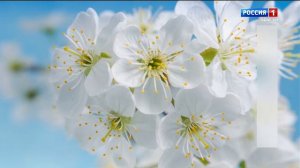 21.10- «Вести. Адыгея» от 07.04.2026г.