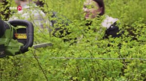 Весенняя уборка