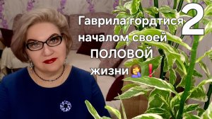 2 часть. Гаврила гордится началом своей ПОЛОВОЙ  жизни🤦♀️❗️