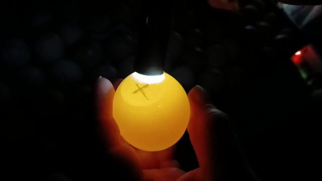 Инкубирование яиц на 8 - 10 день.