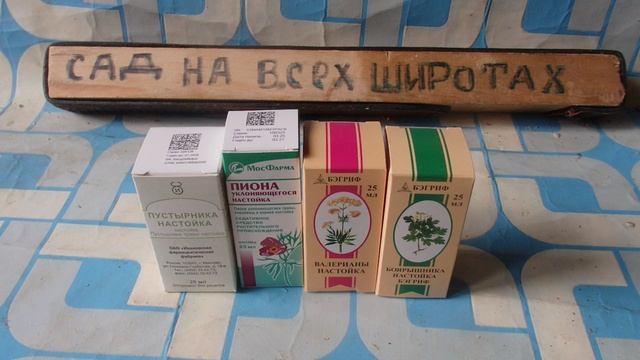 РЕЦЕПТ ОТ СТРЕССА БЫСТРО И ПРОСТО  по 50мл ПИОНА +БОЯРЫШНИКА + ВАЛЕРИАНЫ иПУСТЫРНИКА
