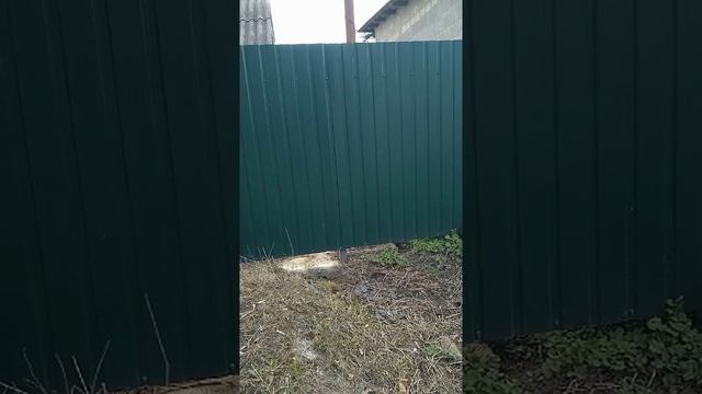 Покатали называется