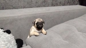 ☕🥥сегодня будет сходка  Могут только прийти трое🥥☕