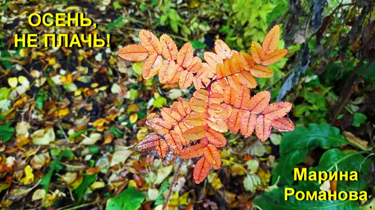 © Марина Романова "ОСЕНЬ, НЕ ПЛАЧЬ!"