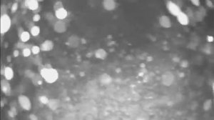 Волга зима.сом судаки 10 м.