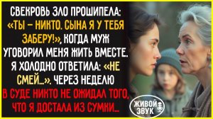 Свекровь решила отнять у меня сына, но даже судья остолбенел от того, что я  сделала