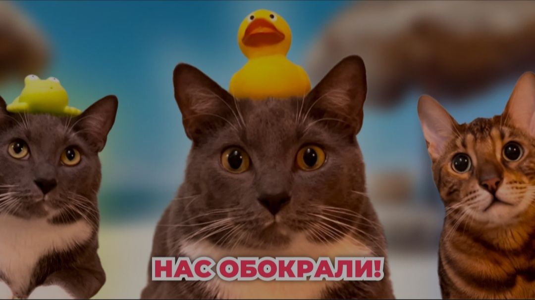 Kotiynet — 1 сезон, 13 серия. | 12+