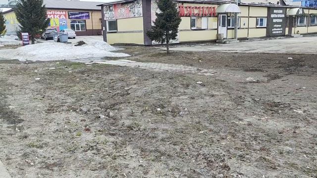 Домашние хлопоты...