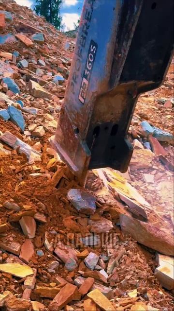 Вы хотели ролик с Аней?