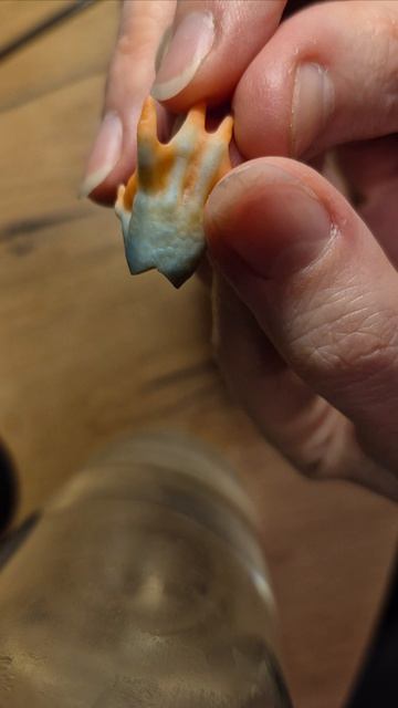 Делаю ногти кукле 💅