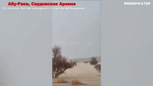 Сегодня Новости 06.04.2026 - Россия, Москва, ЧП, Катаклизмы, События Дня, Таиланд Индия США Европа