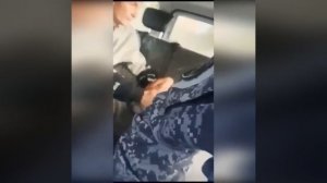 Видео от МЭН - Мне Это Нравится