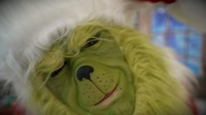 ПРОМО сказки "GRINCH"
