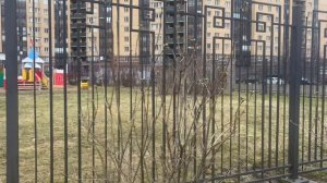 Март немножко их обманул.