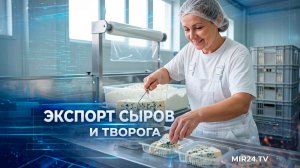 Россия обновила рекорд по экспорту сыров и творога | Вместе выгодно